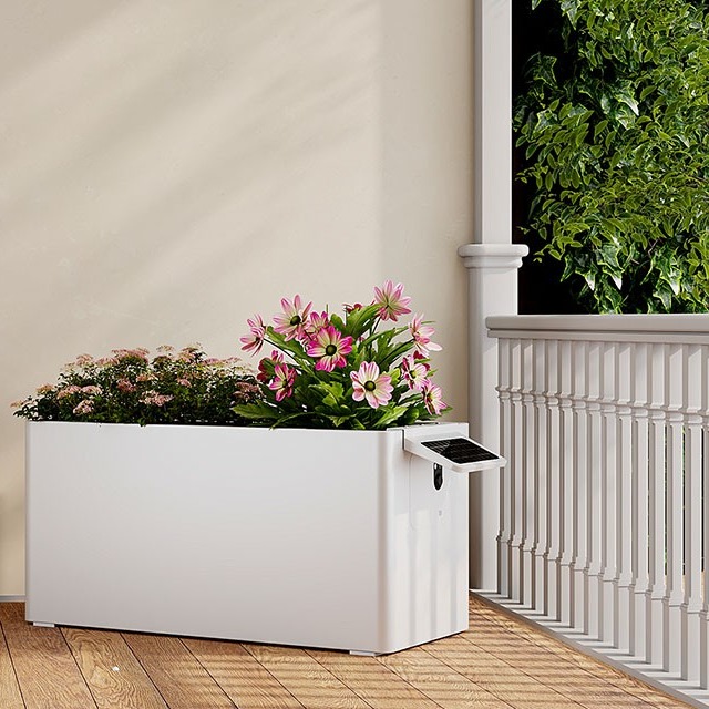 Indoor smart planter in a living room