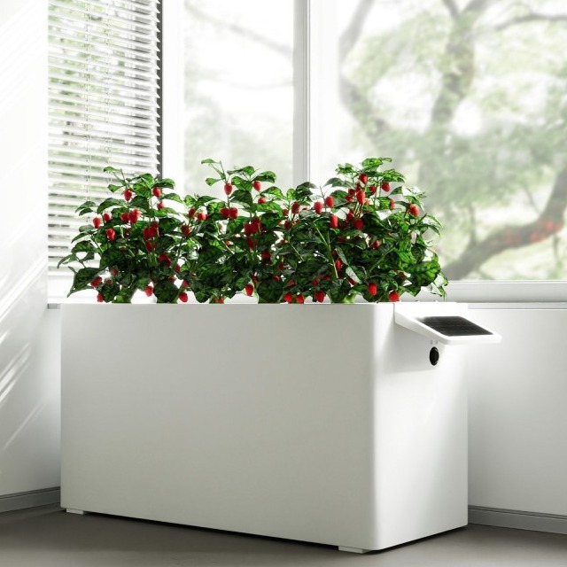 Smart planters greening an office space