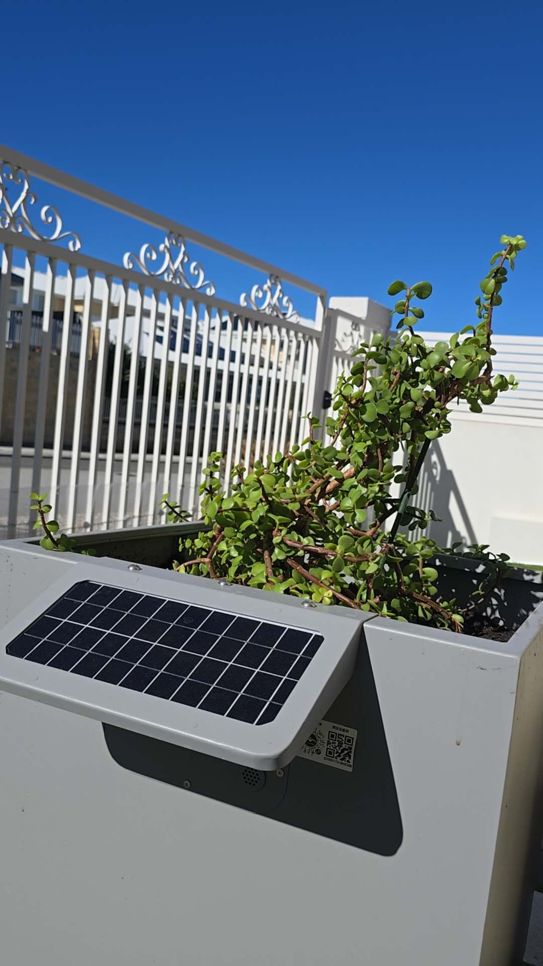 Lamp-post mounted planters greening a street